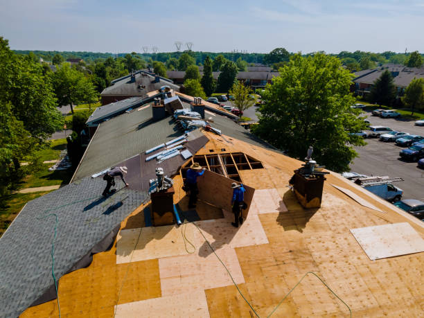 Quick and Trustworthy Emergency Roof Repair Services in Palmer Ranch, FL